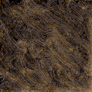 Physarum
